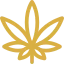 Marijuana Addiction