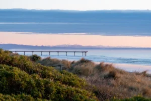 Drug and Rehab Christchurch