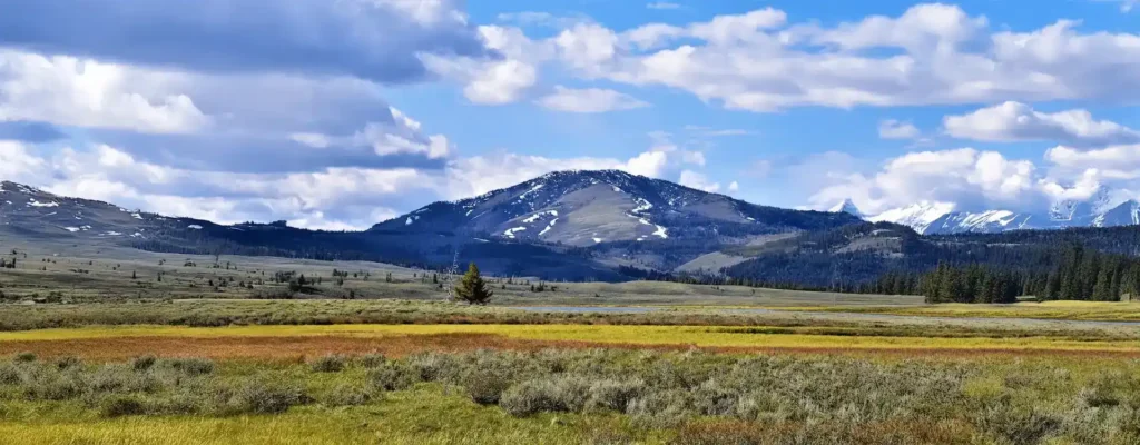 Drug Rehab in Montana