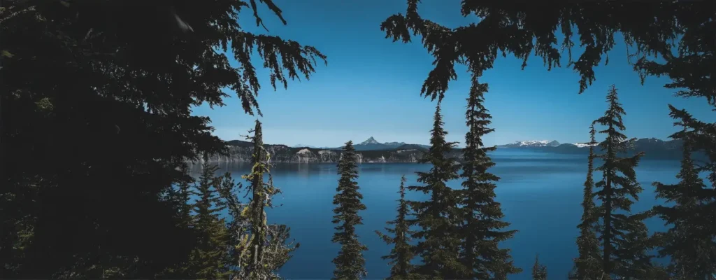 Drug Rehabilitation in Oregon