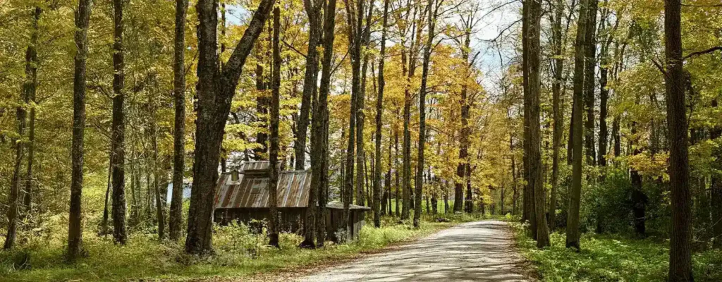 Vermont