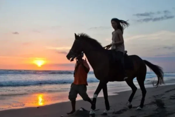 Walking with a horse